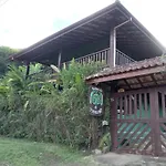 Banana Verdolenga